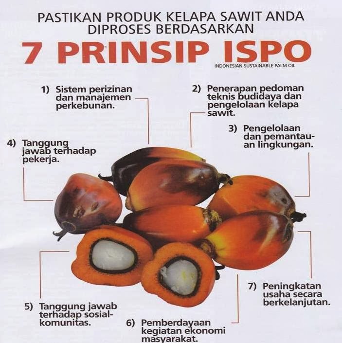 Terbaru Sertifikasi Ispo Perkebunan Kelapa Sawit Di Indonesia Riset