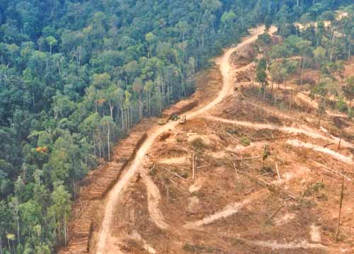 Pencemaran untuk kebakaran adalah di mengatasi hutan masalah asia permasalahan tepat udara masalah contohnya tindakan tersebut beberapa sering tenggara lingkungan melanda negara karena Sampah Menjadi