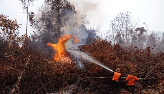 data kebakaran hutan, kebakaran hutan, riau, 2015