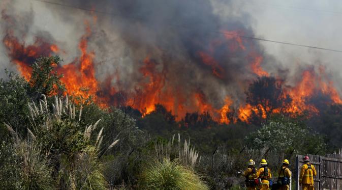 Kerugian Kebakaran Hutan Rp107 Triliun