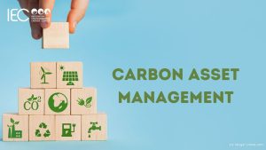 Penerapan Carbon Asset Management untuk Nilai Bisnis Berkelanjutan