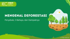 Mengenal Deforestasi: Penyebab, 5 Bahaya, dan Dampaknya