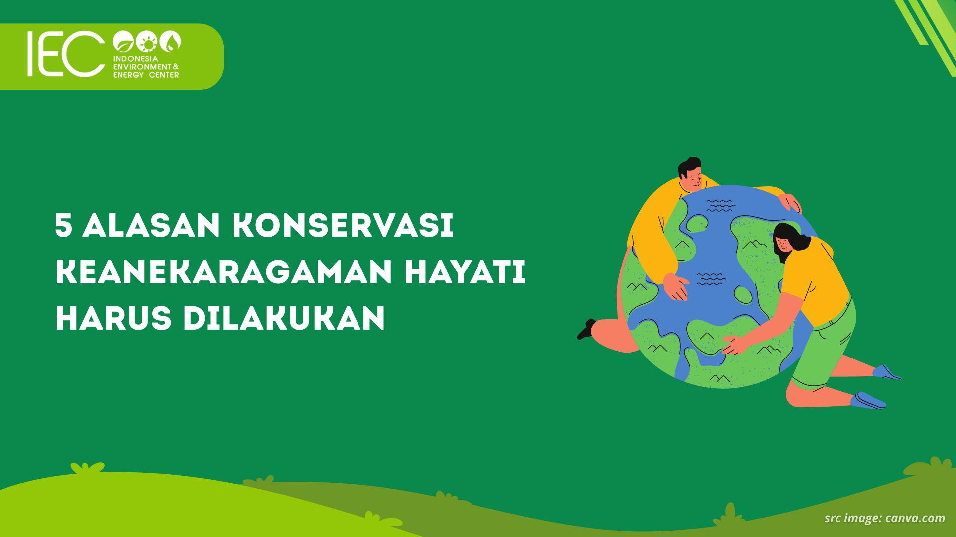 5 Alasan Konservasi Keanekaragaman Hayati Harus Dilakukan 