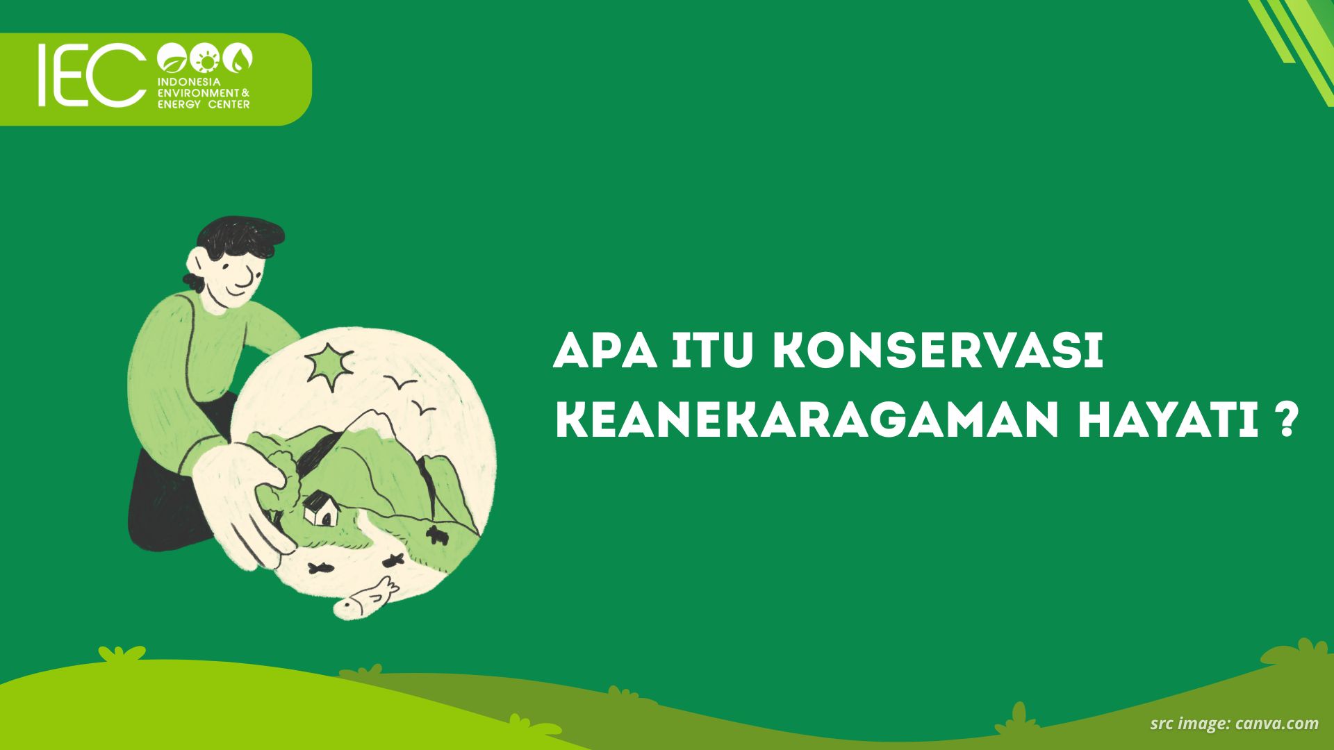 Apa Itu Konservasi Keanekaragaman Hayati?