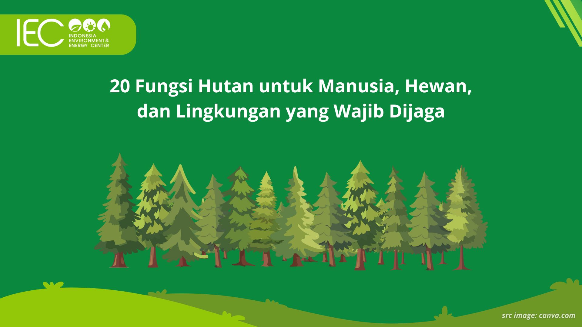 20 Fungsi Hutan untuk Manusia, Hewan, dan Lingkungan yang Wajib Dijaga