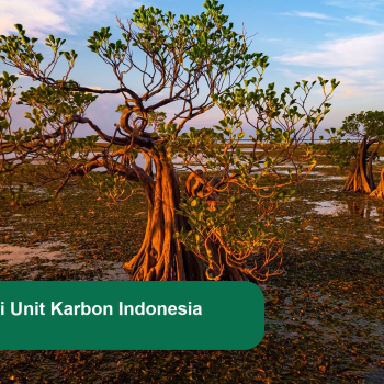 SRUK Sistem Registri Unit Karbon: Artinya bagi Proyek Karbon Anda